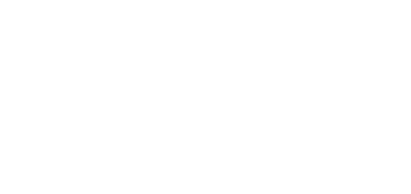 logo ica2 blanco